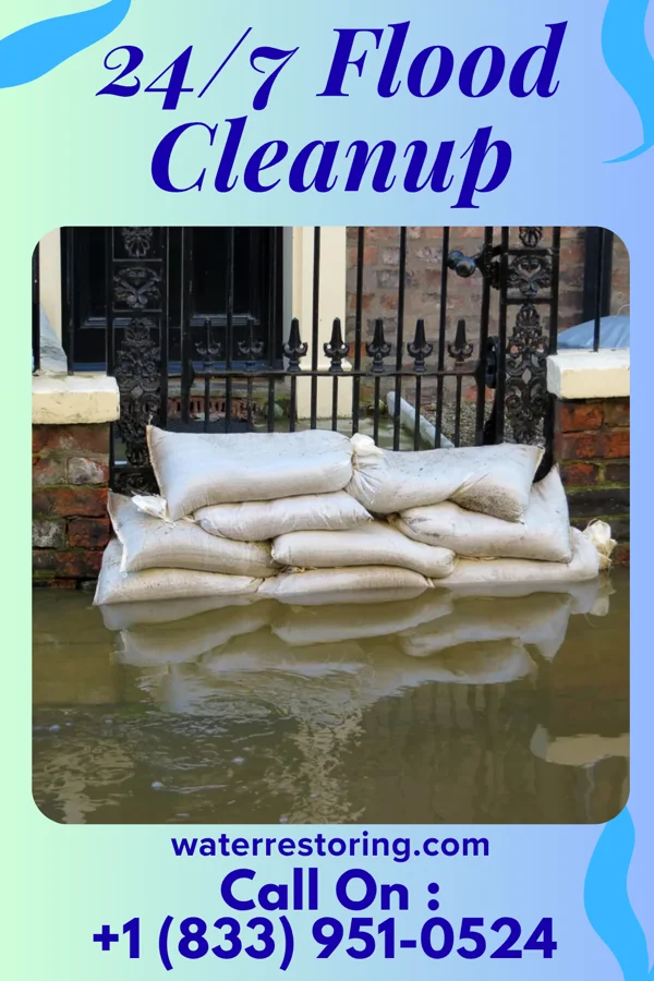 24/7 Flood Cleanup in Portsmouth, VA