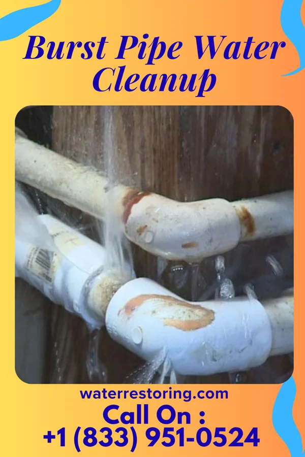 Burst Pipe Water Cleanup in Portsmouth, VA