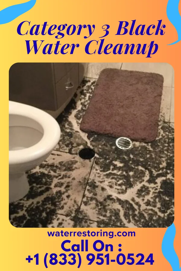 Category 3 Black Water Cleanup in Portsmouth, VA