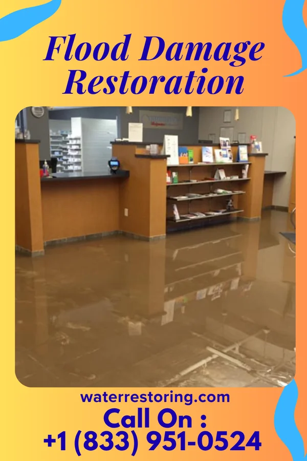 Flood Damage Restoration in Portsmouth, VA