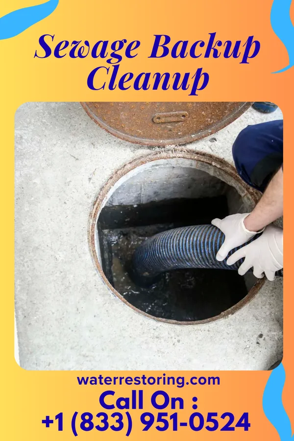 Sewage Backup Cleanup in Portsmouth, VA