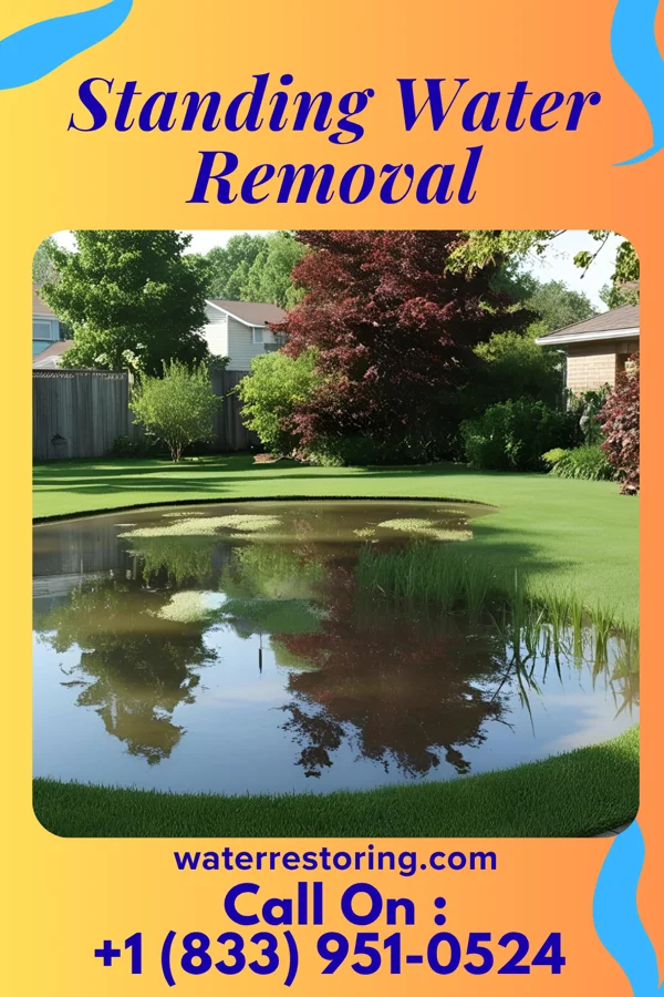 Standing Water Removal in Portsmouth, VA